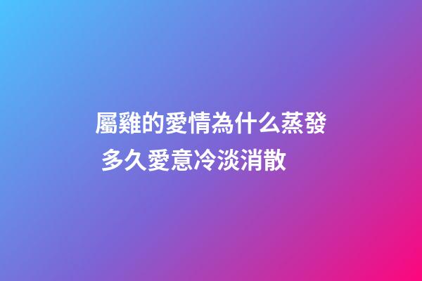 屬雞的愛情為什么蒸發 多久愛意冷淡消散